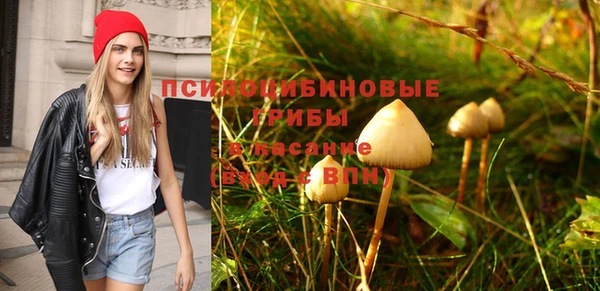 гашиш Алексин